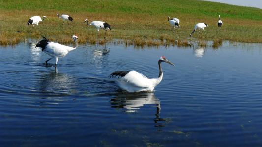 市场快讯（欧冠小组赛）邯郸既本溪-技术阐释
