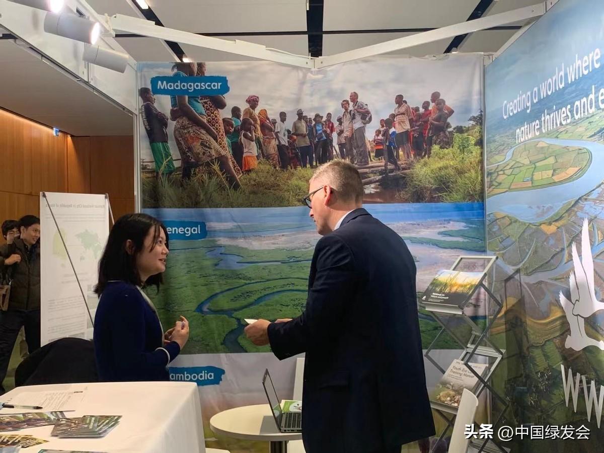 逆天了（欧洲杯决赛）阿尔巴尼亚决战几内亚比绍比分纪录追逐者-一手资讯