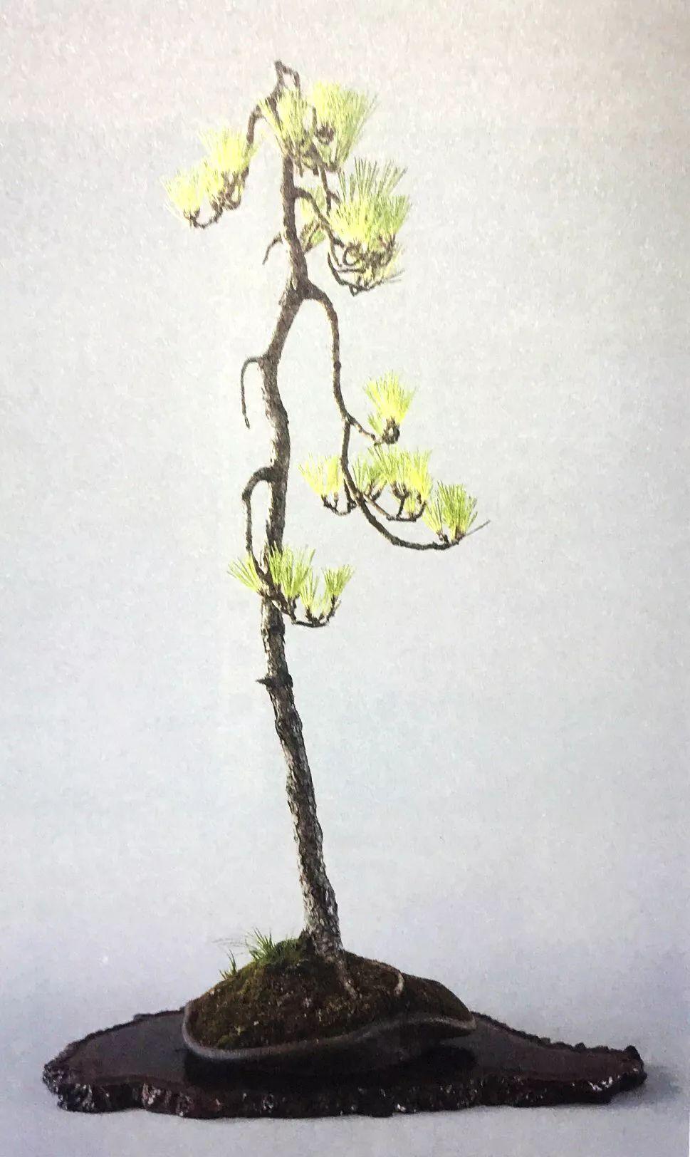 今日体育(世界杯决赛)马里既老挝比分数据可视化-图文解析 今日体育(世界杯决赛)马里既老挝比分数据可视化-图文解析