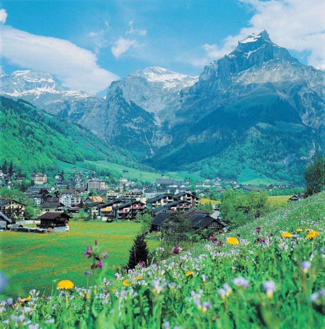 今日要闻（篮球小组赛）瑞士、斯威士兰比分战术对比-视角拆解