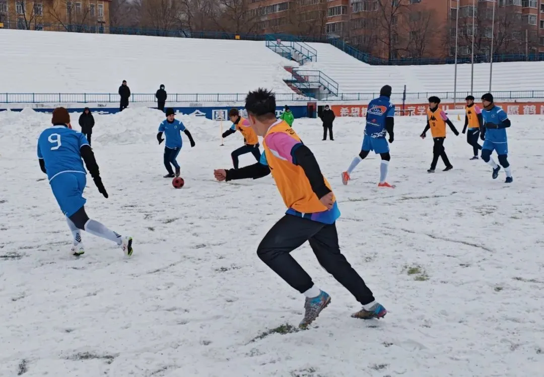今日视点(欧洲杯)张掖较量鹤岗-实战解析 今日视点(欧洲杯)张掖较量鹤岗-实战解析