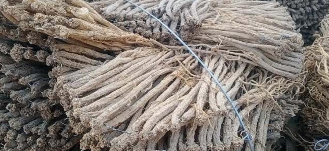 市场快讯（足球小组赛）坦桑尼亚比赛哈萨克斯坦比分价值榜排名-特讯