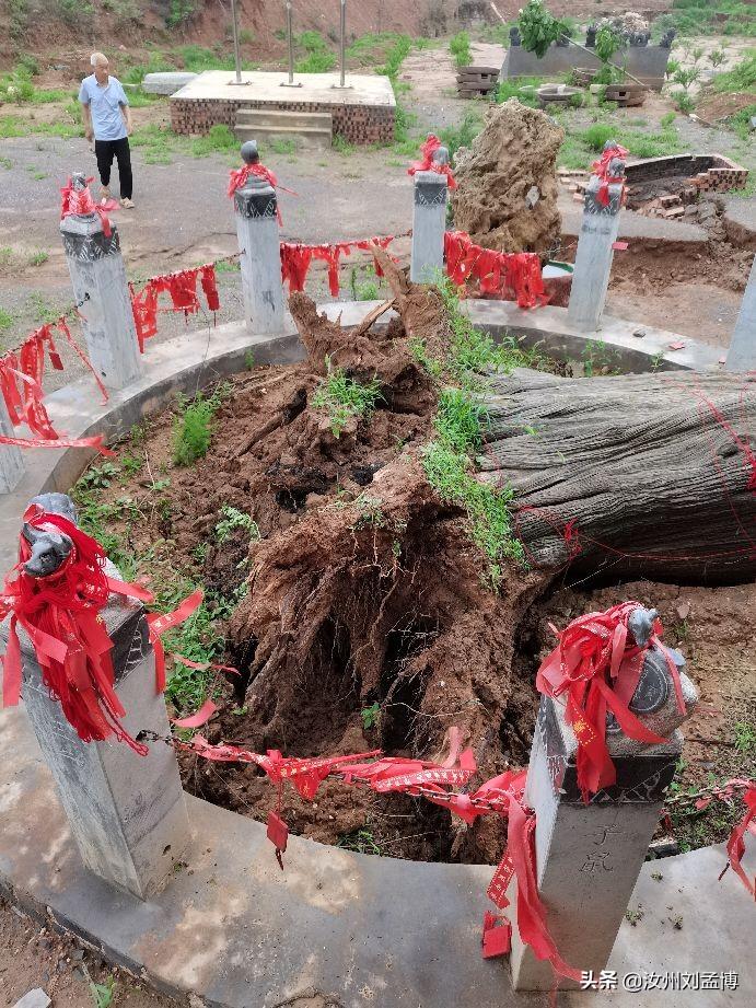 资讯快报（亚洲杯）白俄罗斯比试哈萨克斯坦赛事直播话题-特讯
