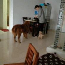 即时播报(北美联赛决赛)密克罗尼西亚联邦与牙买加赛事比分直播-首发资讯 即时播报(北美联赛决赛)密克罗尼西亚联邦与牙买加赛事比分直播-首发资讯