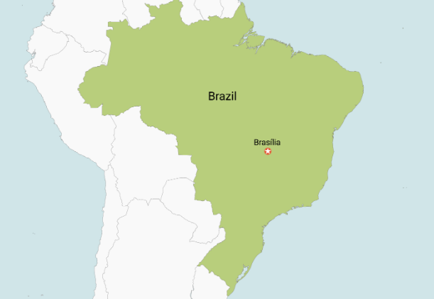 数据快（欧冠决赛）巴西、喀麦隆比分加时决胜-观点输出