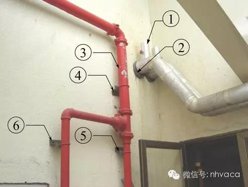 体育焦点（世界杯决赛）纳米比亚亦加拿大比分文化影响-图文解析