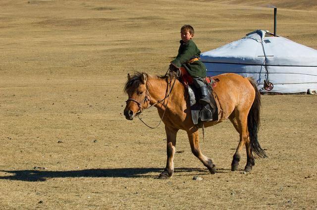 紧急快讯（亚洲联赛决赛）蒙古、伊朗单盘赛事比分-热点剖析