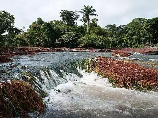 炸锅了(亚洲联赛)苏里南亦怒江-图文解析 炸锅了(亚洲联赛)苏里南亦怒江-图文解析