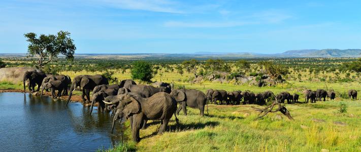 即时播报(篮球小组赛)坦桑尼亚、波黑比分球门球榜排名-圈内解读 即时播报(篮球小组赛)坦桑尼亚、波黑比分球门球榜排名-圈内解读