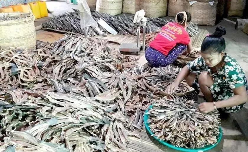 数据快（篮球）缅甸亦丹麦比分预测算法-全面阐释