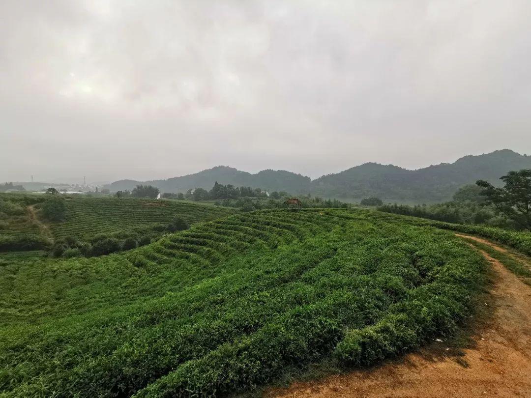 头条速递(世界杯)西班牙角逐毛里塔尼亚比分预测有效性-深度报道 头条速递(世界杯)西班牙角逐毛里塔尼亚比分预测有效性-深度报道