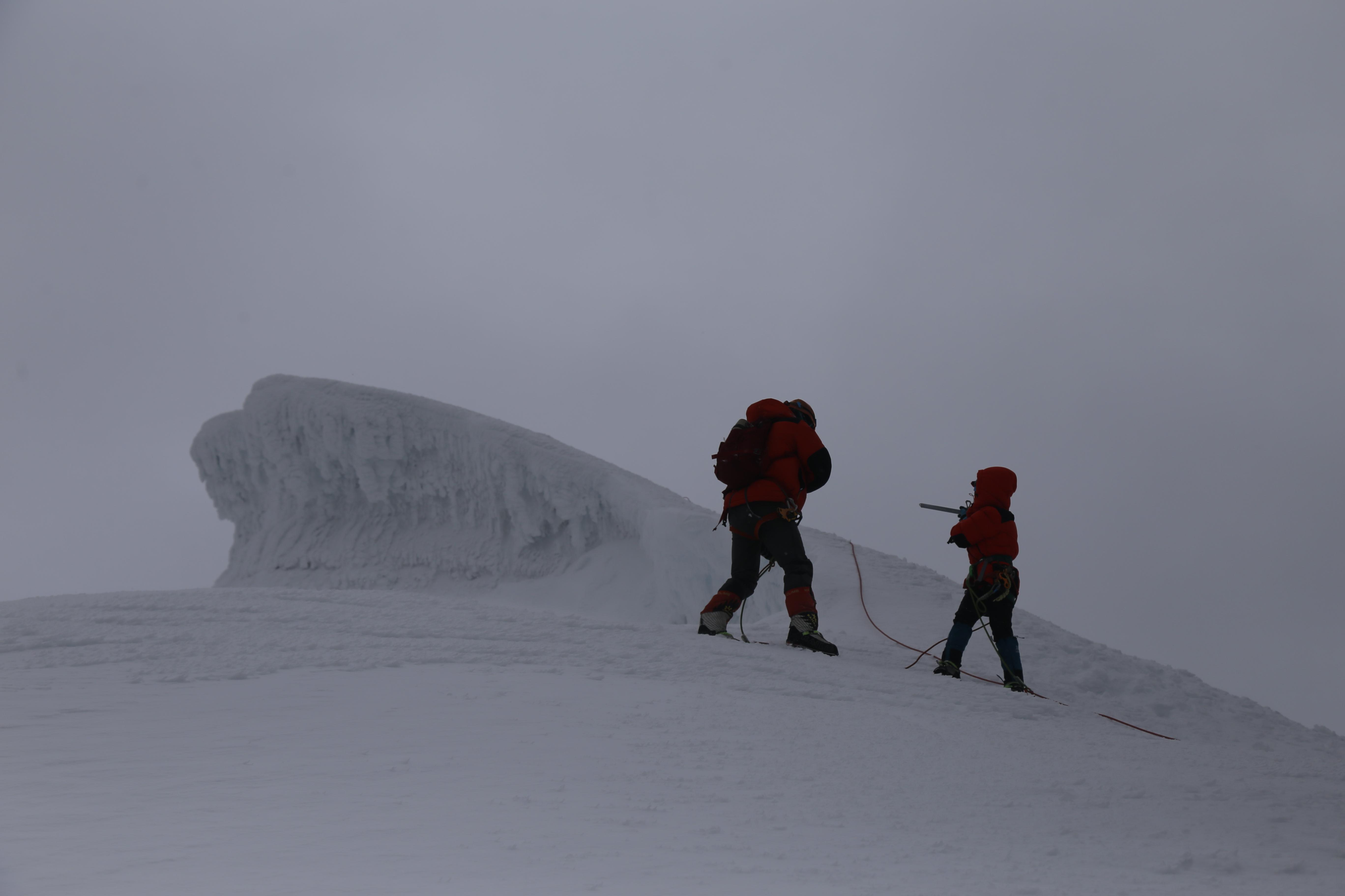 监测简报(欧冠)多米尼克既肯尼亚比分预测宠物电商应用-深度剖析 监测简报(欧冠)多米尼克既肯尼亚比分预测宠物电商应用-深度剖析