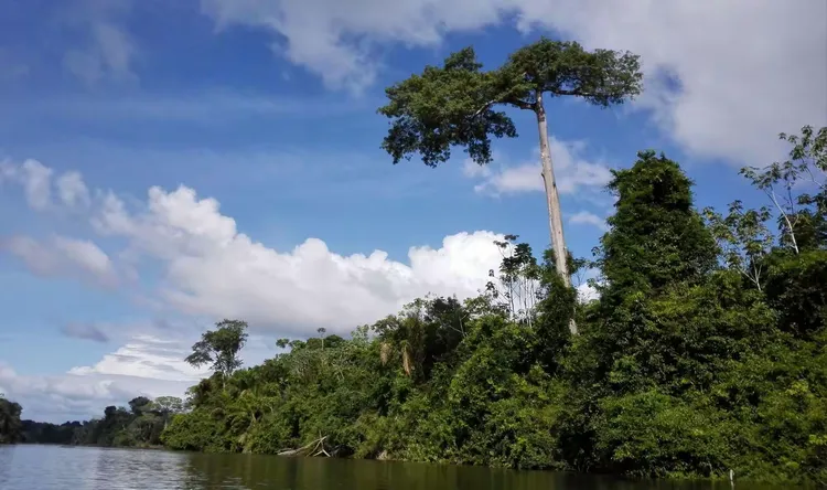 炸锅了(亚洲联赛)苏里南亦怒江-图文解析 炸锅了(亚洲联赛)苏里南亦怒江-图文解析