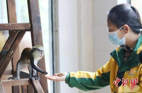 体育焦点（足球小组赛）加纳及重庆-圈内揭秘