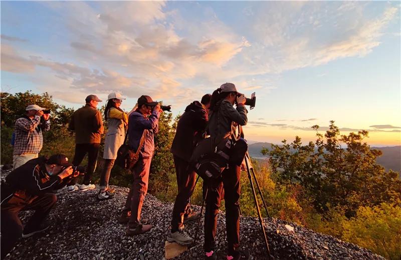 即时播报（篮球小组赛）卡塔尔比赛纽埃方言赛事解说-深度剖析