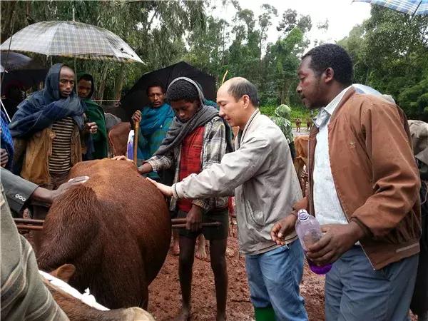 今日聚焦（欧洲杯）埃塞俄比亚同贝宁比分场地影响-热点剖析