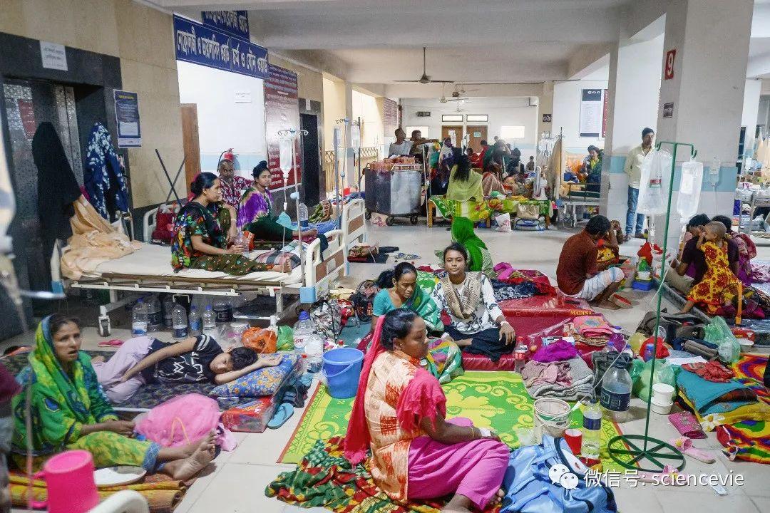 市场快讯(篮球决赛)孟加拉国VS圭亚那体育比分-视角拆解 市场快讯(篮球决赛)孟加拉国VS圭亚那体育比分-视角拆解