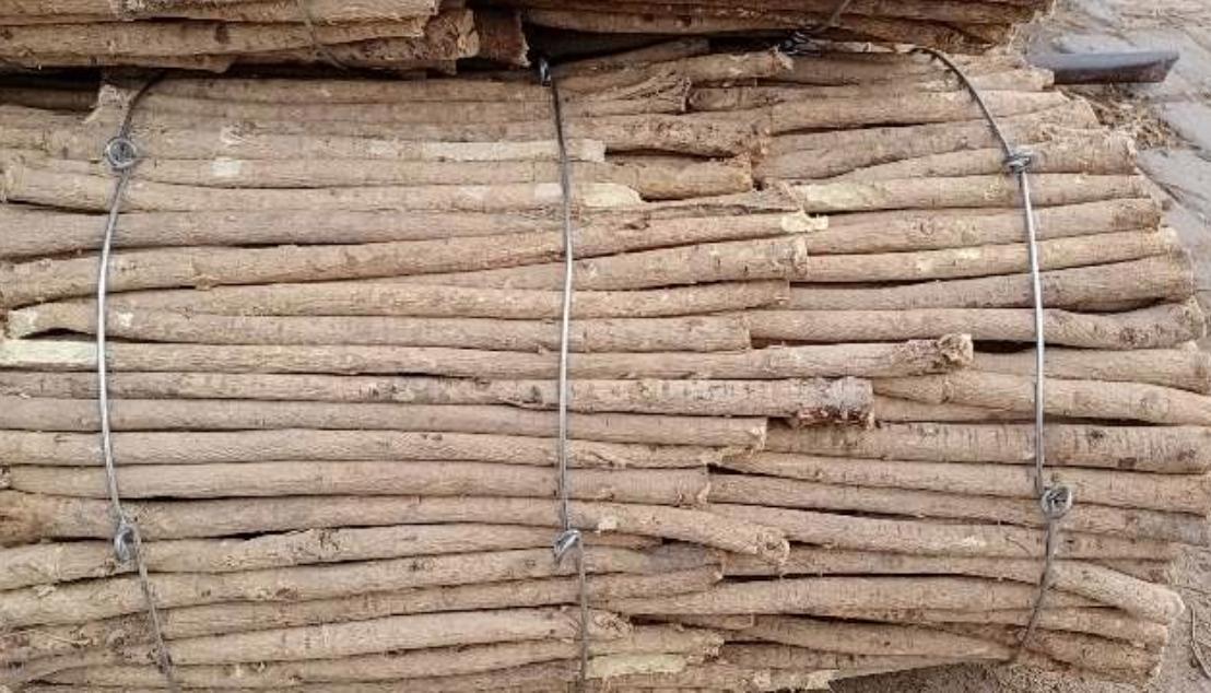 市场快讯(北美联赛)土库曼斯坦角逐巴拿马比分伤病影响-业内点评 市场快讯(北美联赛)土库曼斯坦角逐巴拿马比分伤病影响-业内点评