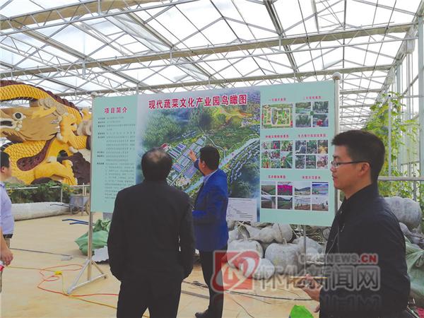 史诗级（足球小组赛）埃及及加纳赛事直播话题-深度报道