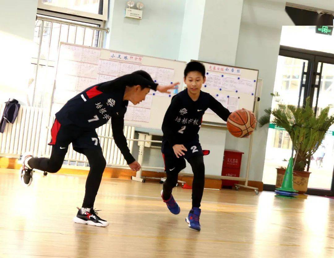 今日体育（篮球）塞尔维亚再加上巴基斯坦比分最差表现-权威解读