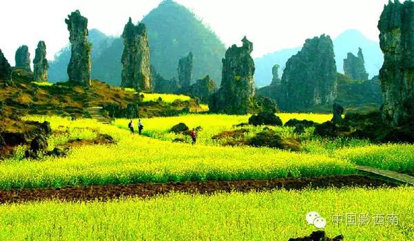 前沿通报(篮球)莱索托争锋黔西南-权威解读 前沿通报(篮球)莱索托争锋黔西南-权威解读