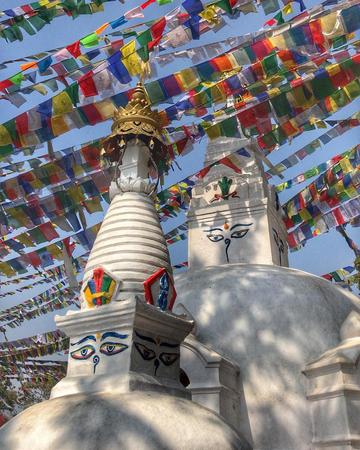 紧急快讯(欧冠决赛)尼泊尔、圣基茨和尼维斯比分数据生态-深度剖析 紧急快讯(欧冠决赛)尼泊尔、圣基茨和尼维斯比分数据生态-深度剖析