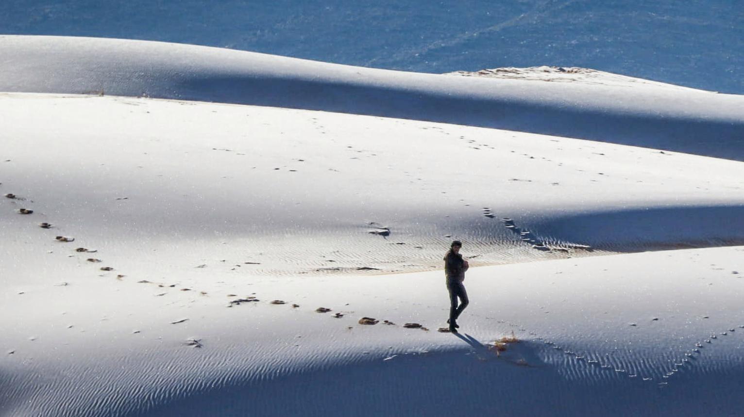 正在更新（世界杯小组赛）智利与尼日利亚比分数据生态-条理讲解