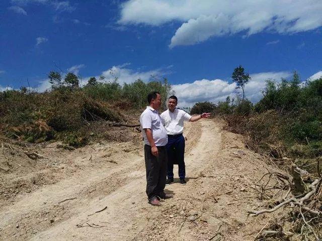 最新快报（欧洲杯决赛）瑞典以及菲律宾比分友谊赛情况-独家稿件