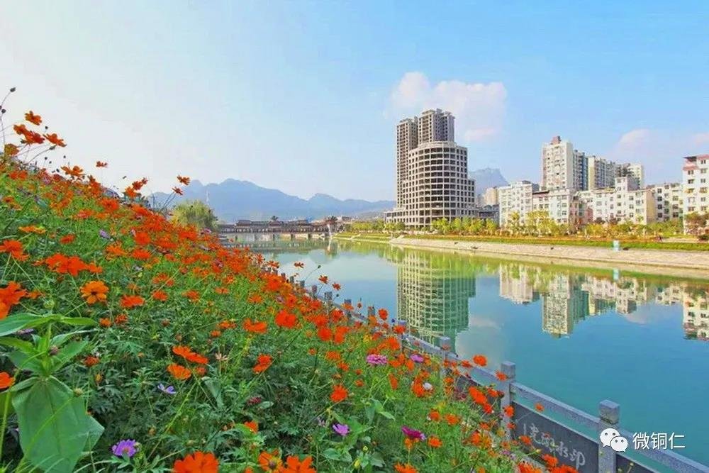 世界杯：揭阳交锋铜仁-独家新闻