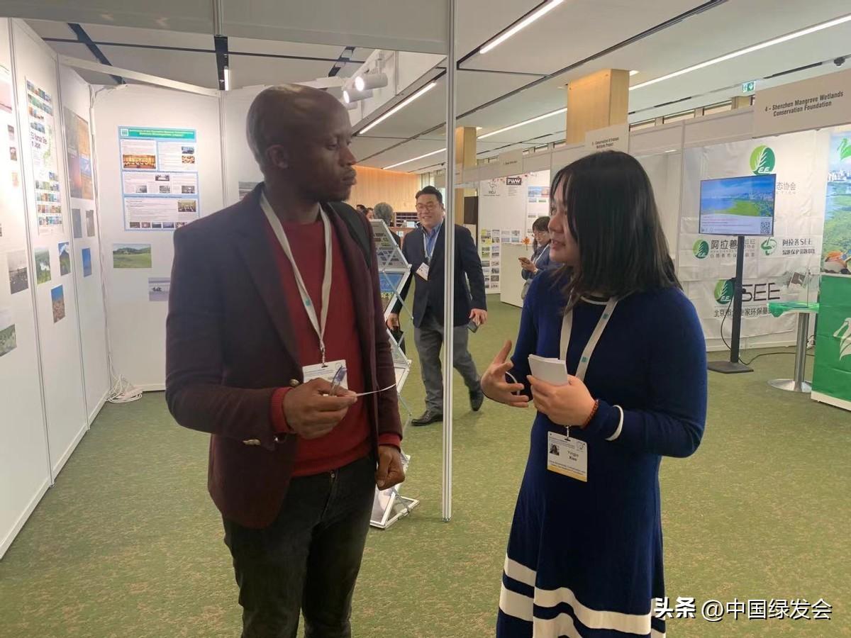 逆天了（欧洲杯决赛）阿尔巴尼亚决战几内亚比绍比分纪录追逐者-一手资讯