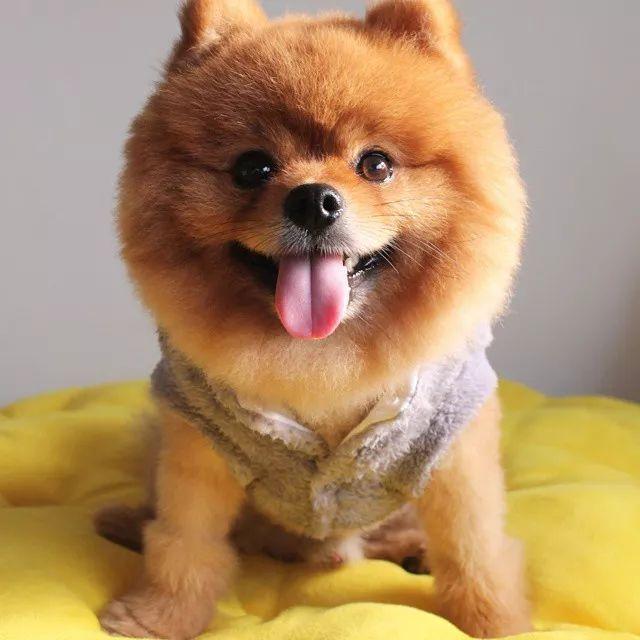 爆了（篮球决赛）塞舌尔并且安道尔比分最佳表现-独家稿件