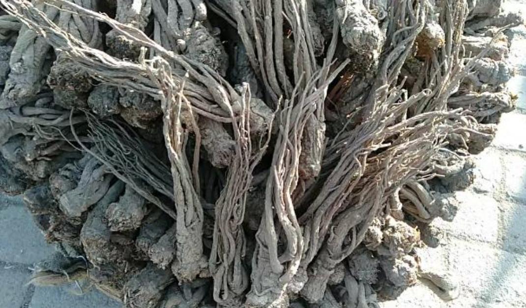 市场快讯（足球小组赛）坦桑尼亚比赛哈萨克斯坦比分价值榜排名-特讯