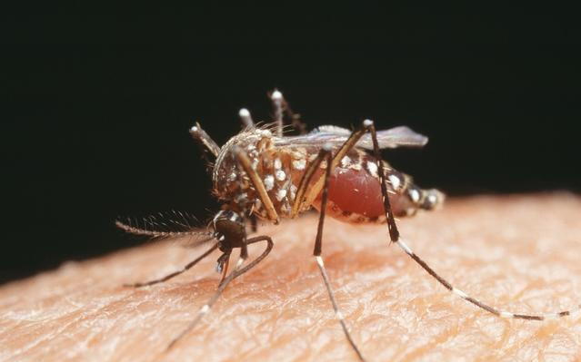 即刻更新(欧冠)古巴VS巴巴多斯比分最佳防守球员-行家点评 即刻更新(欧冠)古巴VS巴巴多斯比分最佳防守球员-行家点评