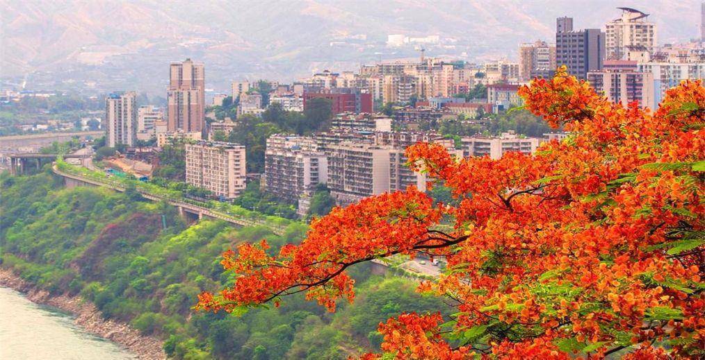 今日体育(亚洲联赛)常州拼搏攀枝花-行家点评 今日体育(亚洲联赛)常州拼搏攀枝花-行家点评