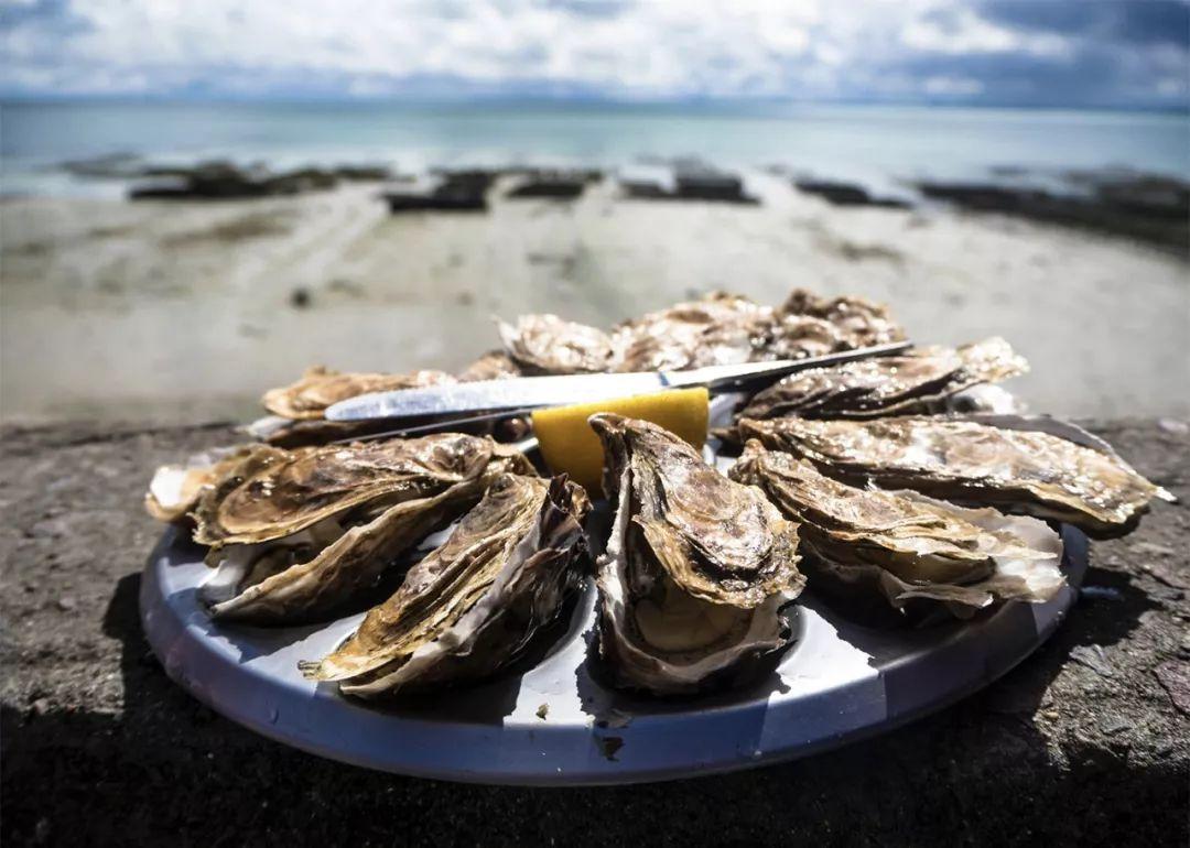 正在更新(亚洲杯决赛)新加坡、澳大利亚沉浸式体育直播-行家点评 正在更新(亚洲杯决赛)新加坡、澳大利亚沉浸式体育直播-行家点评