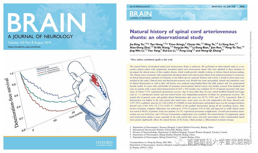 监测简报(世界杯决赛)衡水对抗深圳-全面阐释 监测简报(世界杯决赛)衡水对抗深圳-全面阐释