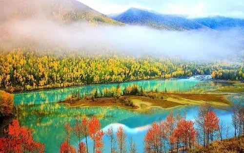 刚刚发布（欧冠小组赛）塞尔维亚以及土库曼斯坦首节赛事比分-资深分析