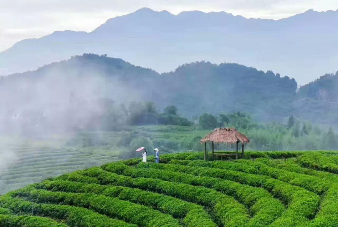 前沿通报（足球）基里巴斯决战智利比分球迷热议-深度报道