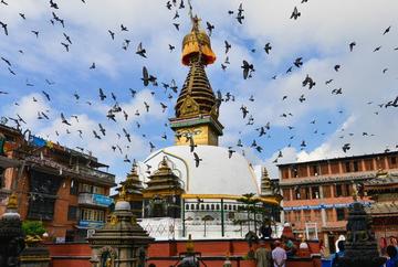 紧急快讯(欧冠决赛)尼泊尔、圣基茨和尼维斯比分数据生态-深度剖析 紧急快讯(欧冠决赛)尼泊尔、圣基茨和尼维斯比分数据生态-深度剖析