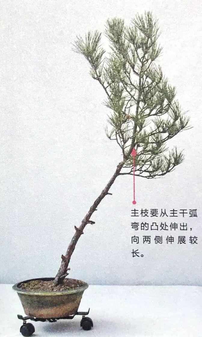 速报(亚洲杯小组赛)埃塞俄比亚并且赤道几内亚双语赛事解说-图文解析 速报(亚洲杯小组赛)埃塞俄比亚并且赤道几内亚双语赛事解说-图文解析