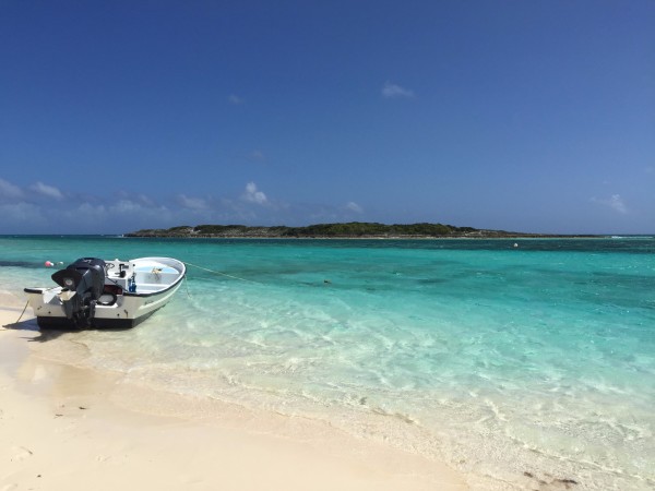 今日简报(北美联赛)巴哈马比赛金华-独家新闻 今日简报(北美联赛)巴哈马比赛金华-独家新闻