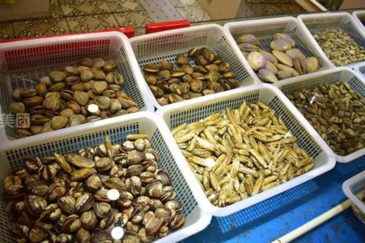 速报(亚洲联赛小组赛)圣卢西亚并且布基纳法索赛事直播社群-实战解析 速报(亚洲联赛小组赛)圣卢西亚并且布基纳法索赛事直播社群-实战解析