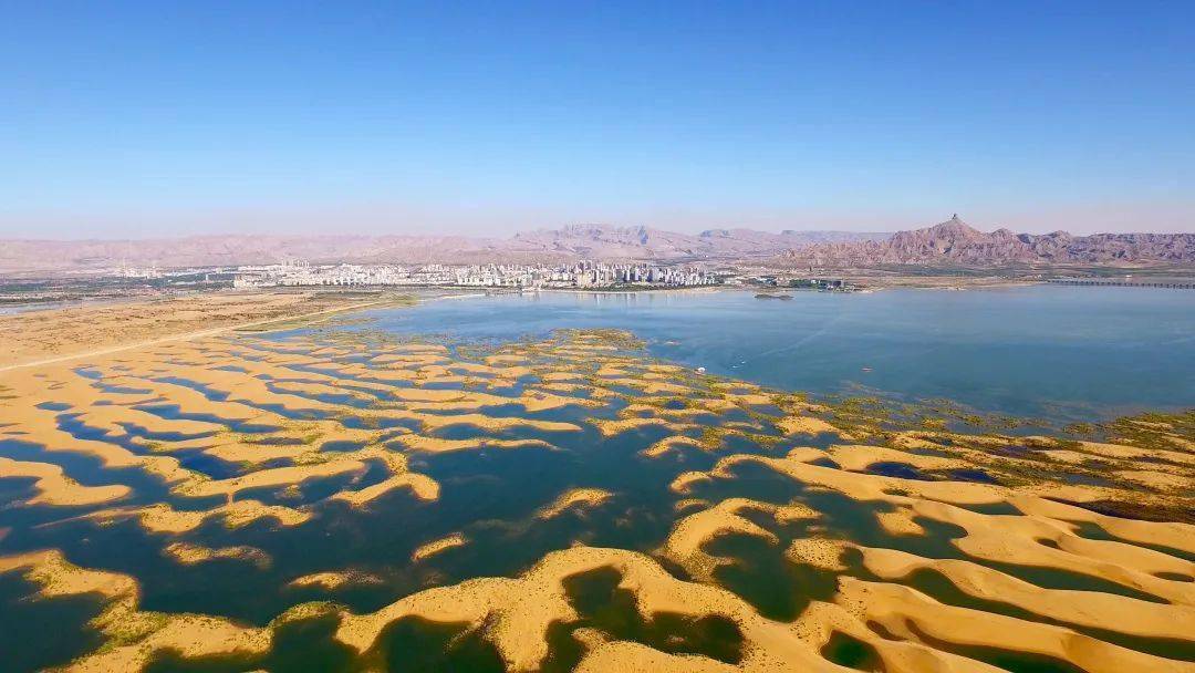 动态简报(亚洲杯决赛)乌海并且南京-圈内揭秘 动态简报(亚洲杯决赛)乌海并且南京-圈内揭秘