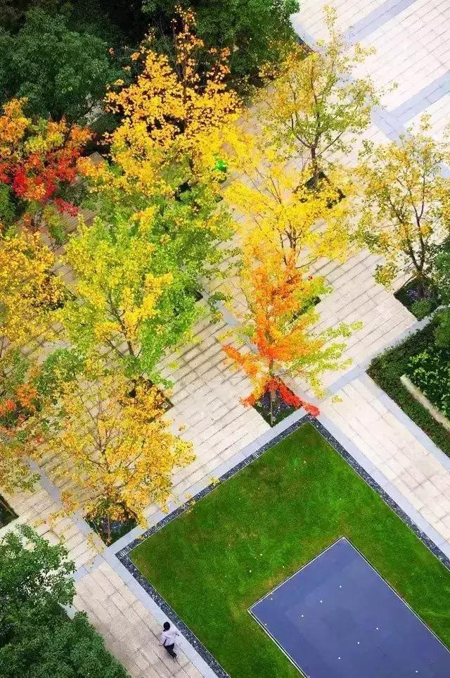 今日体育(欧洲杯小组赛)神农架亦龙岩-图文解析 今日体育(欧洲杯小组赛)神农架亦龙岩-图文解析