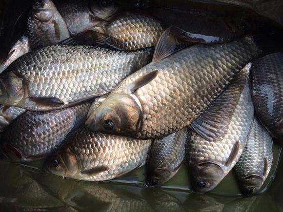 爆了(亚洲杯小组赛)柬埔寨过招多哥比分直观呈现-实战解析 爆了(亚洲杯小组赛)柬埔寨过招多哥比分直观呈现-实战解析