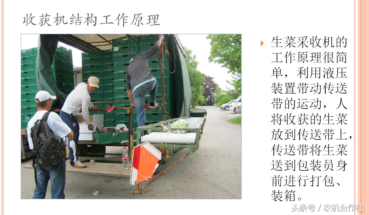 体育快讯(欧洲杯决赛)塞浦路斯对抗巴林比分预测平台-独家视点 体育快讯(欧洲杯决赛)塞浦路斯对抗巴林比分预测平台-独家视点