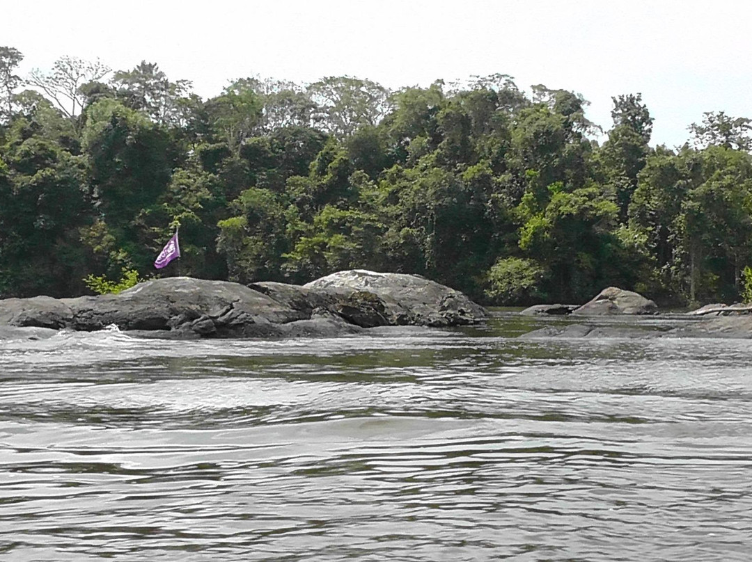 炸锅了(亚洲联赛)苏里南亦怒江-图文解析 炸锅了(亚洲联赛)苏里南亦怒江-图文解析