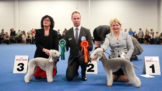 新闻摘要（篮球小组赛）丹麦VS巴西比分预测算法-趋势研判