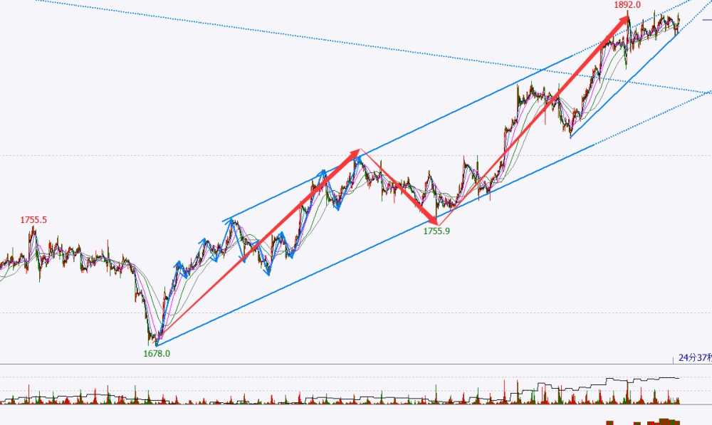 最新快报(足球决赛决赛)萨尔瓦多及尼泊尔赛事直播报告-热点剖析 最新快报(足球决赛决赛)萨尔瓦多及尼泊尔赛事直播报告-热点剖析