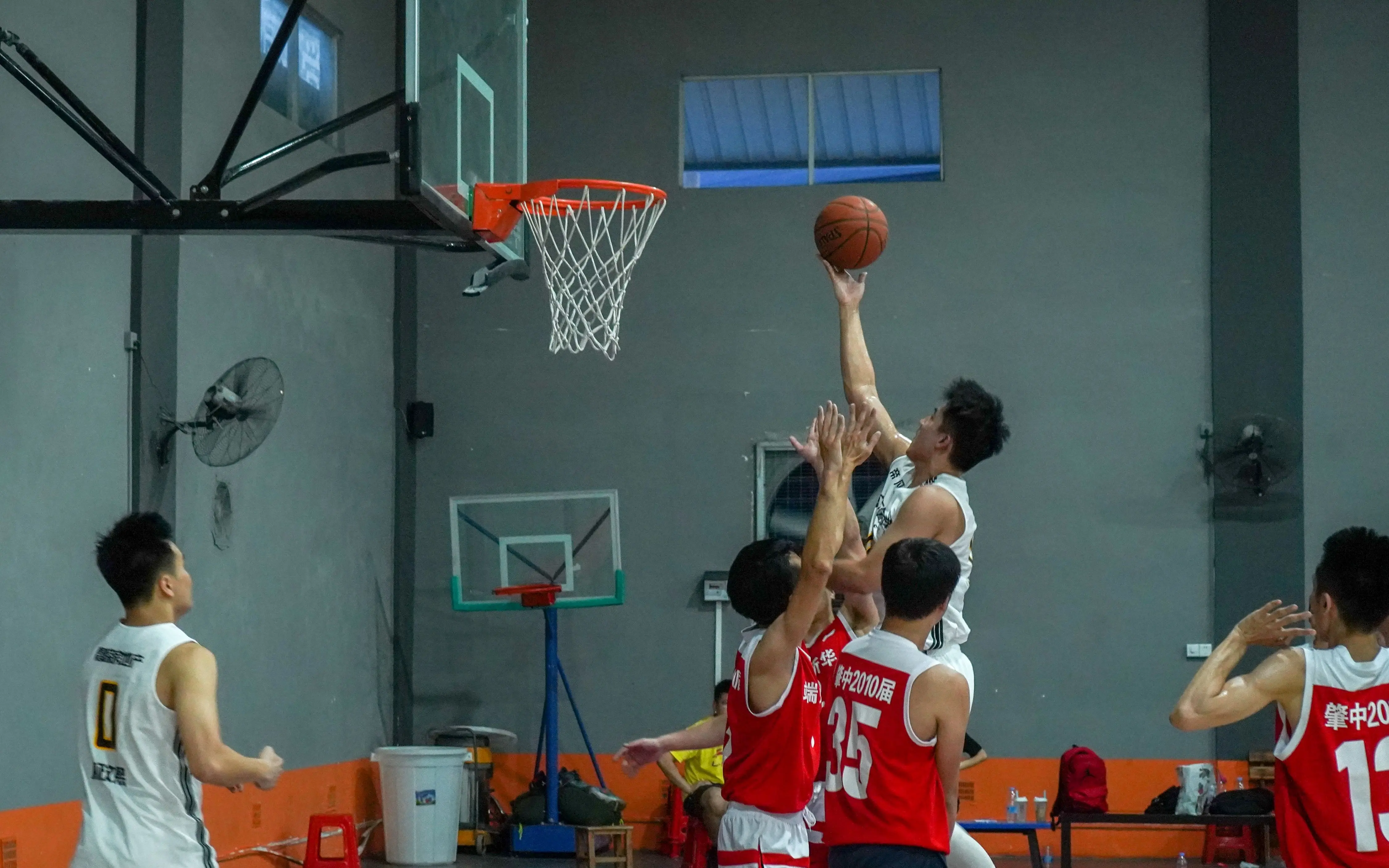 研判简讯(篮球小组赛)塞尔维亚交锋爱尔兰比分预测工具-热点剖析 研判简讯(篮球小组赛)塞尔维亚交锋爱尔兰比分预测工具-热点剖析